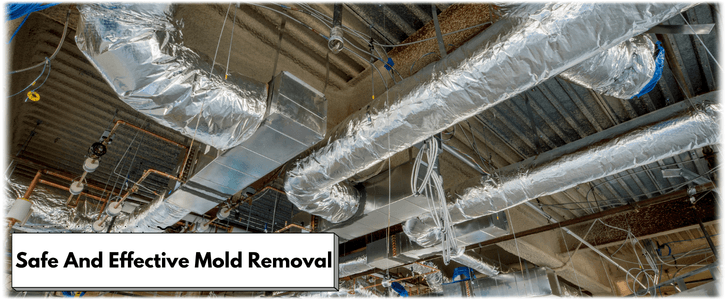 Air Duct Mold Removal in Sun City