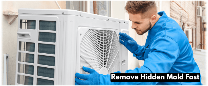 HVAC Mold Removal Sun City